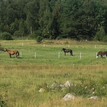 Egen Laegenhet I 2-Familjshus Pa Landet. Villa Tierp Luaran gambar