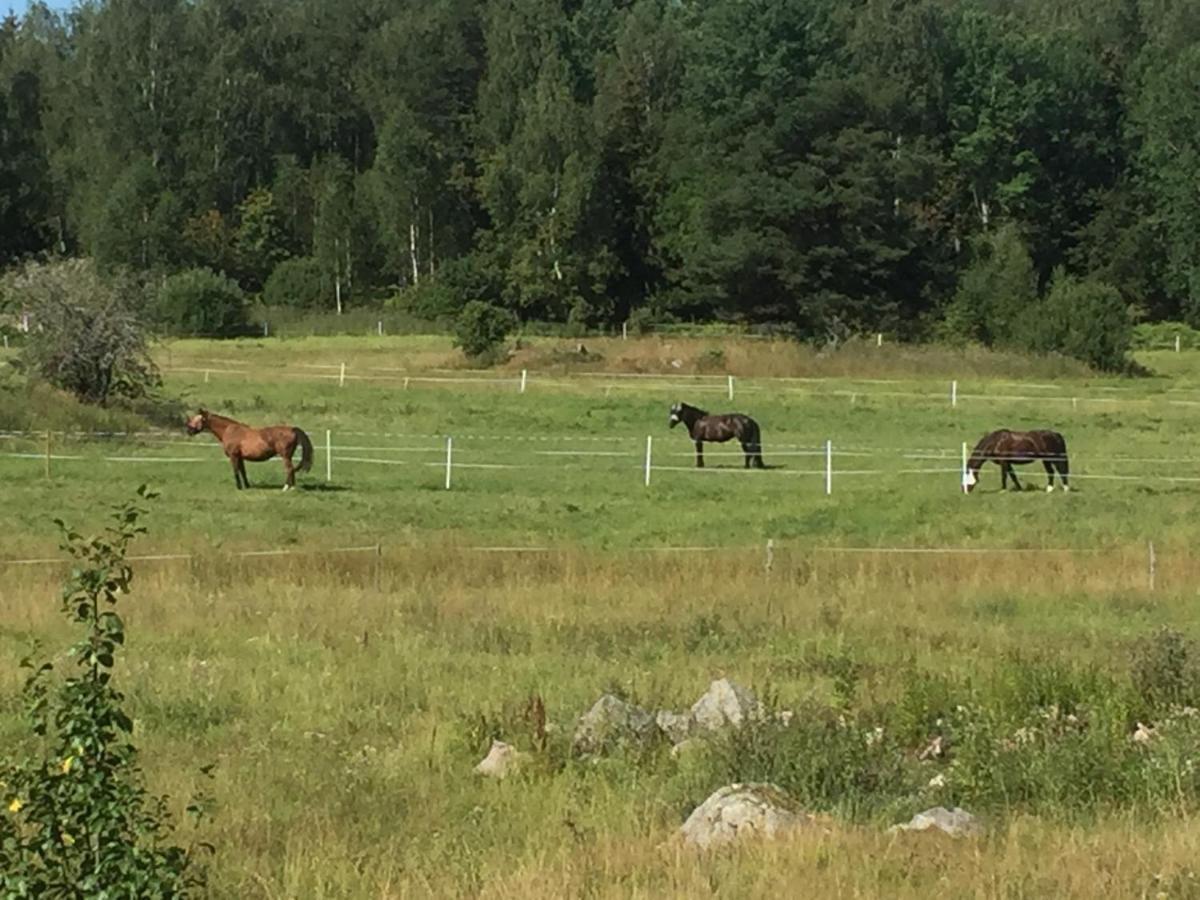 Egen Laegenhet I 2-Familjshus Pa Landet. Villa Tierp Luaran gambar